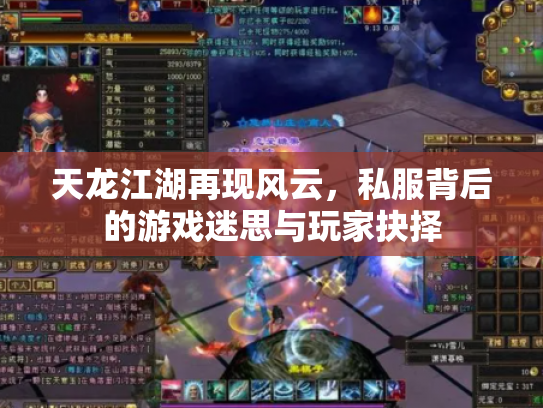 天龙江湖再现风云，私服背后的游戏迷思与玩家抉择