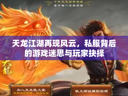 天龙江湖再现风云，私服背后的游戏迷思与玩家抉择