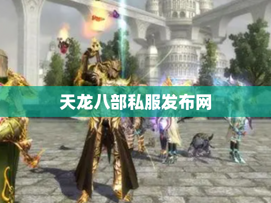 天龙八部私服发布网