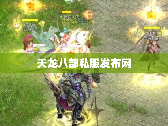 天龙八部私服发布网