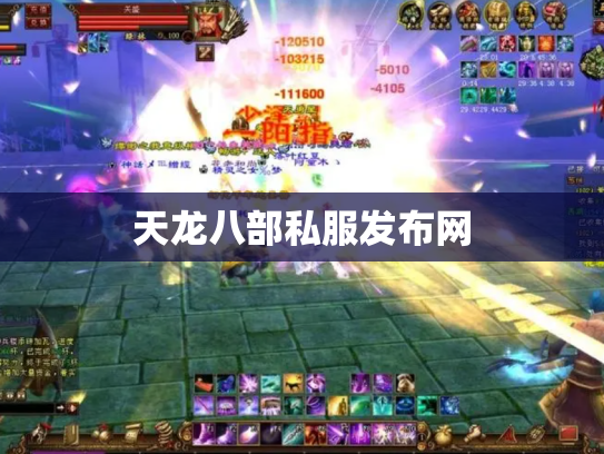 天龙八部私服发布网