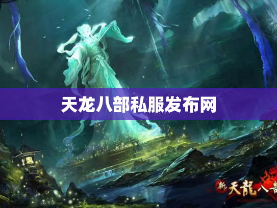 天龙八部私服发布网