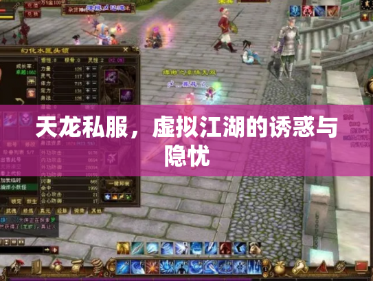 天龙私服，虚拟江湖的诱惑与隐忧