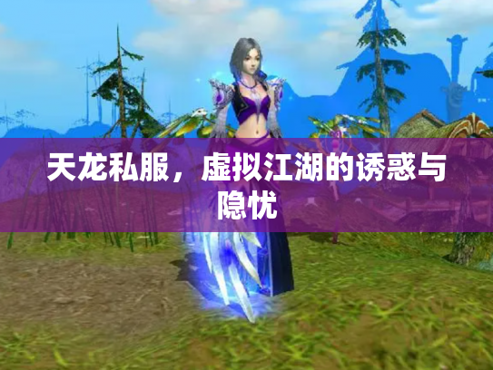 天龙私服，虚拟江湖的诱惑与隐忧