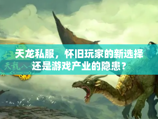 天龙私服，怀旧玩家的新选择还是游戏产业的隐患？
