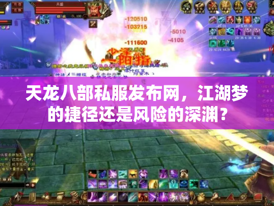天龙八部私服发布网，江湖梦的捷径还是风险的深渊？