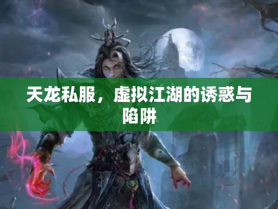 天龙私服，虚拟江湖的诱惑与陷阱
