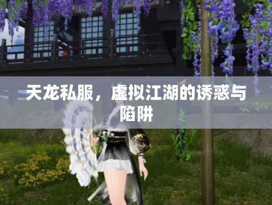 天龙私服，虚拟江湖的诱惑与陷阱