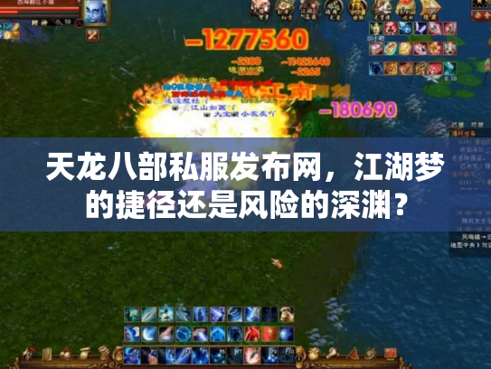天龙八部私服发布网，江湖梦的捷径还是风险的深渊？