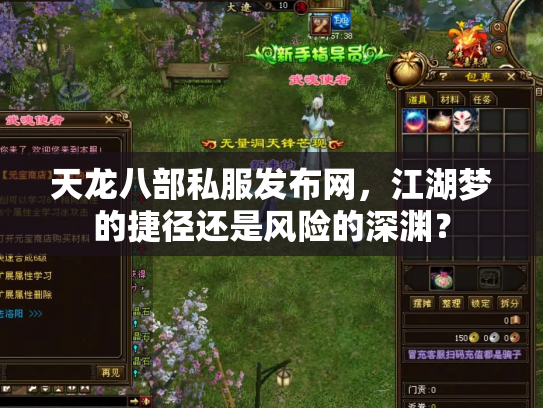 天龙八部私服发布网，江湖梦的捷径还是风险的深渊？