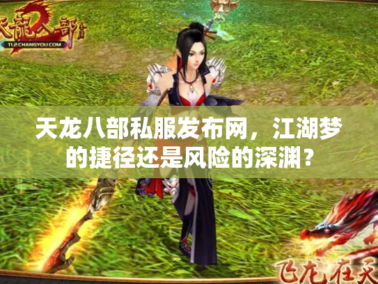 天龙八部私服发布网，江湖梦的捷径还是风险的深渊？