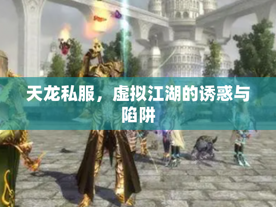 天龙私服，虚拟江湖的诱惑与陷阱