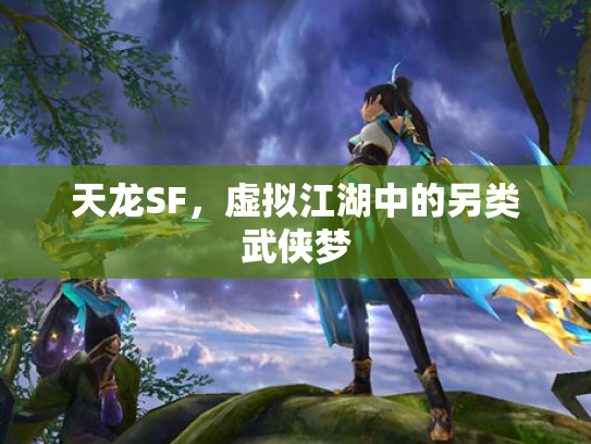 天龙SF，虚拟江湖中的另类武侠梦