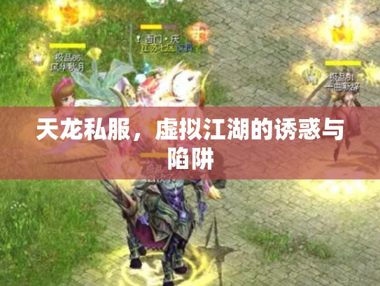 天龙私服，虚拟江湖的诱惑与陷阱