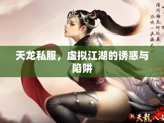 天龙私服，虚拟江湖的诱惑与陷阱