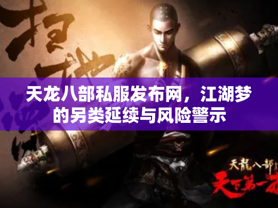天龙八部私服发布网，江湖梦的另类延续与风险警示