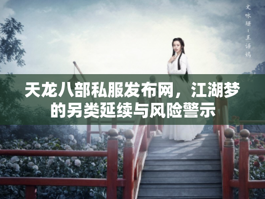 天龙八部私服发布网，江湖梦的另类延续与风险警示