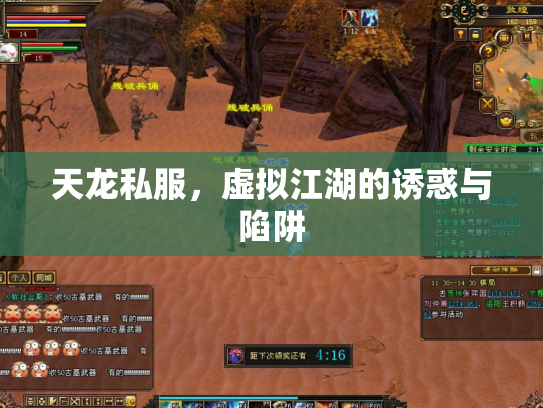 天龙私服，虚拟江湖的诱惑与陷阱