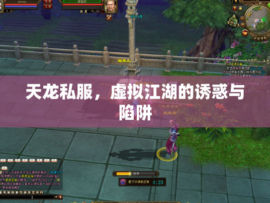 天龙私服，虚拟江湖的诱惑与陷阱