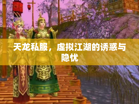 天龙私服，虚拟江湖的诱惑与隐忧