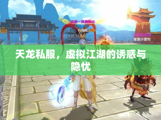 天龙私服，虚拟江湖的诱惑与隐忧