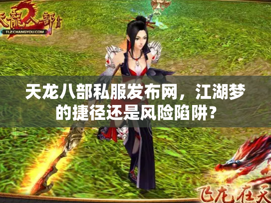 天龙八部私服发布网，江湖梦的捷径还是风险陷阱？