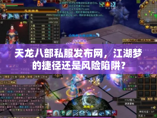 天龙八部私服发布网，江湖梦的捷径还是风险陷阱？