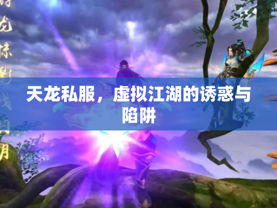 天龙私服，虚拟江湖的诱惑与陷阱