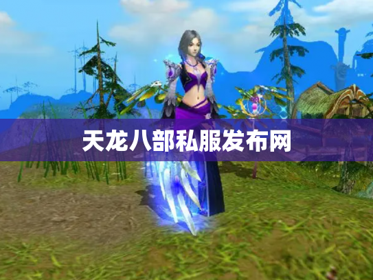 天龙八部私服发布网