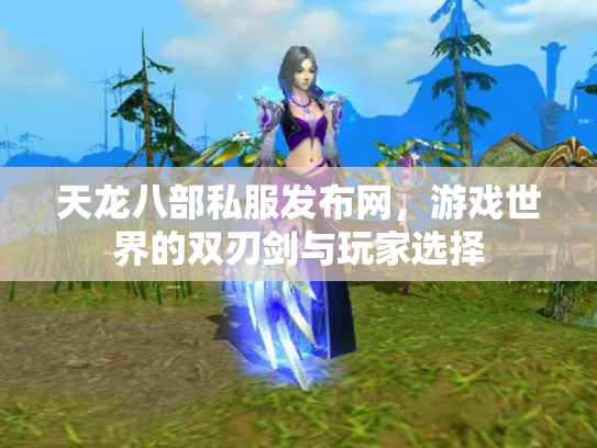 天龙八部私服发布网，游戏世界的双刃剑与玩家选择
