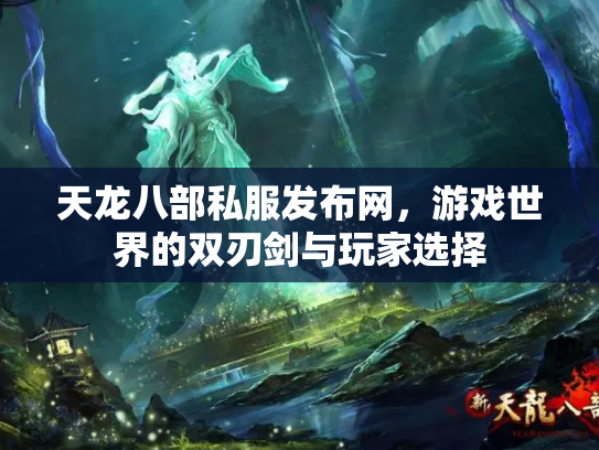 天龙八部私服发布网，游戏世界的双刃剑与玩家选择