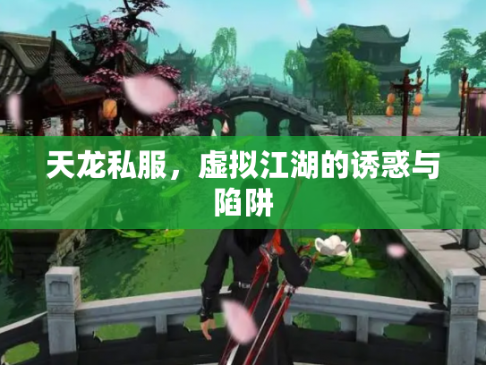 天龙私服，虚拟江湖的诱惑与陷阱