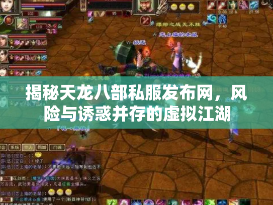 揭秘天龙八部私服发布网，风险与诱惑并存的虚拟江湖