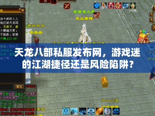天龙八部私服发布网，游戏迷的江湖捷径还是风险陷阱？