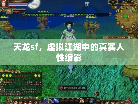 天龙sf，虚拟江湖中的真实人性缩影