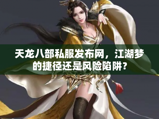 天龙八部私服发布网，江湖梦的捷径还是风险陷阱？