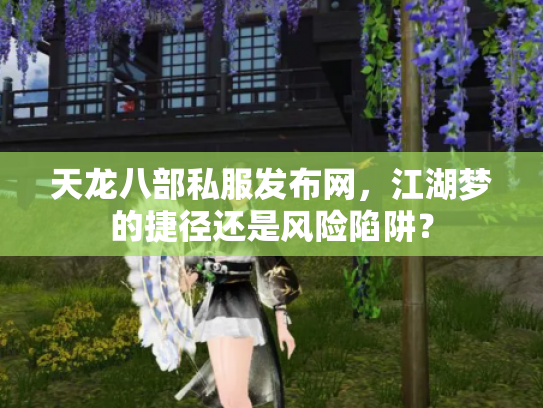 天龙八部私服发布网，江湖梦的捷径还是风险陷阱？