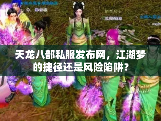 天龙八部私服发布网，江湖梦的捷径还是风险陷阱？