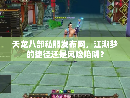 天龙八部私服发布网，江湖梦的捷径还是风险陷阱？