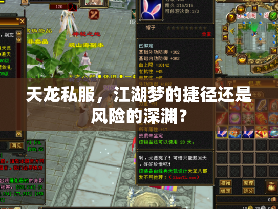 天龙私服，江湖梦的捷径还是风险的深渊？