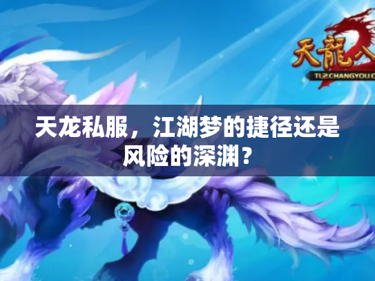 天龙私服，江湖梦的捷径还是风险的深渊？