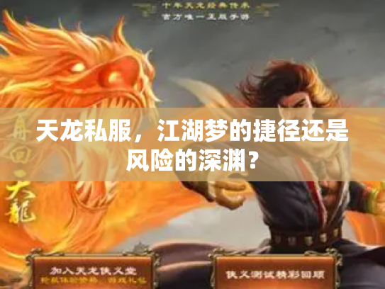 天龙私服，江湖梦的捷径还是风险的深渊？