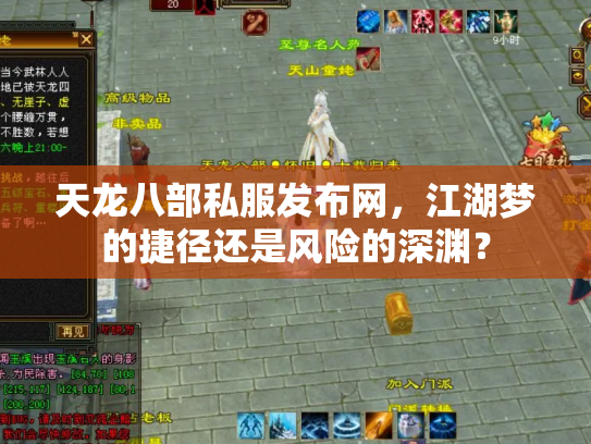 天龙八部私服发布网，江湖梦的捷径还是风险的深渊？