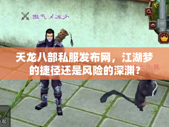 天龙八部私服发布网，江湖梦的捷径还是风险的深渊？