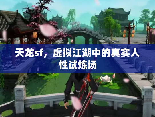 天龙sf，虚拟江湖中的真实人性试炼场
