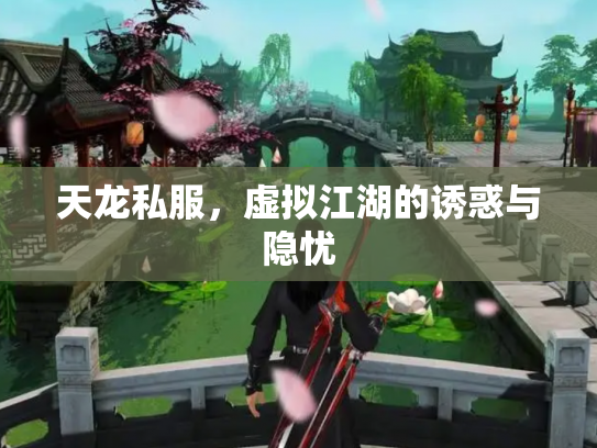 天龙私服，虚拟江湖的诱惑与隐忧