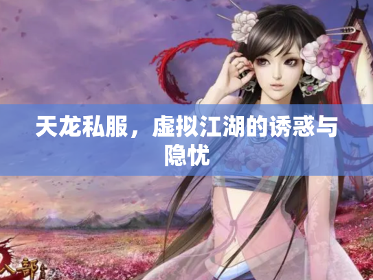 天龙私服，虚拟江湖的诱惑与隐忧