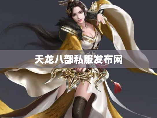 天龙八部私服发布网