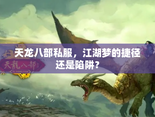 天龙八部私服，江湖梦的捷径还是陷阱？