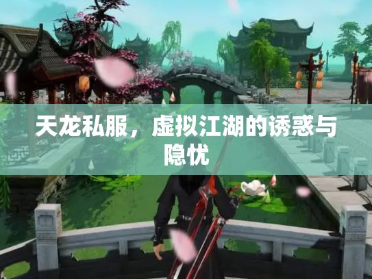 天龙私服，虚拟江湖的诱惑与隐忧